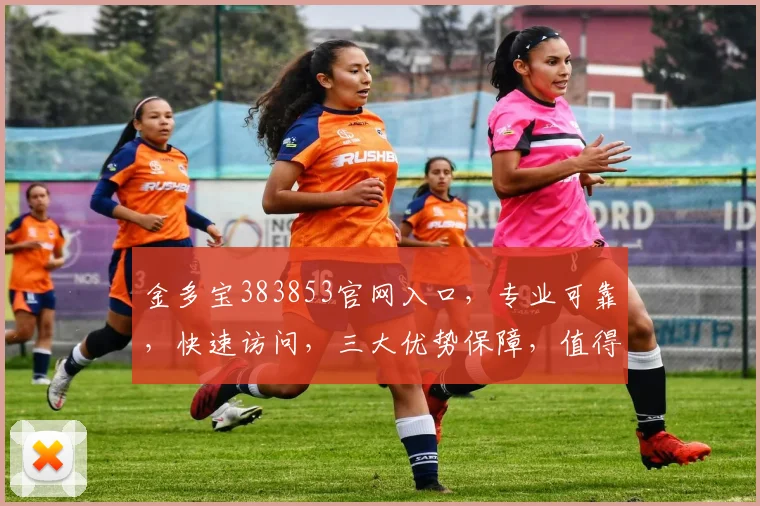 金多宝383853官网入口，专业可靠，快速访问，三大优势保障，值得信赖