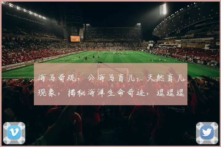 海马奇观，公海马育儿，天然育儿现象，揭秘海洋生命奇迹，逗逗逗