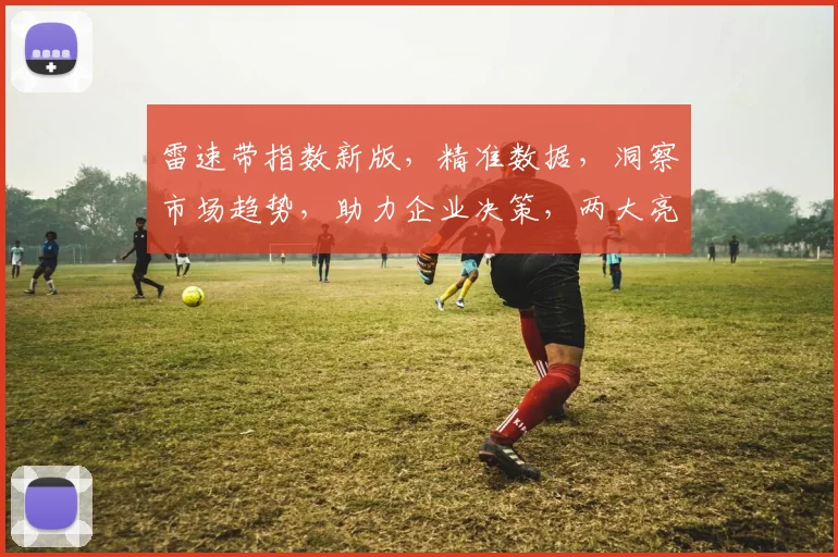雷速带指数新版，精准数据，洞察市场趋势，助力企业决策，两大亮点，不容错过，深度解析。