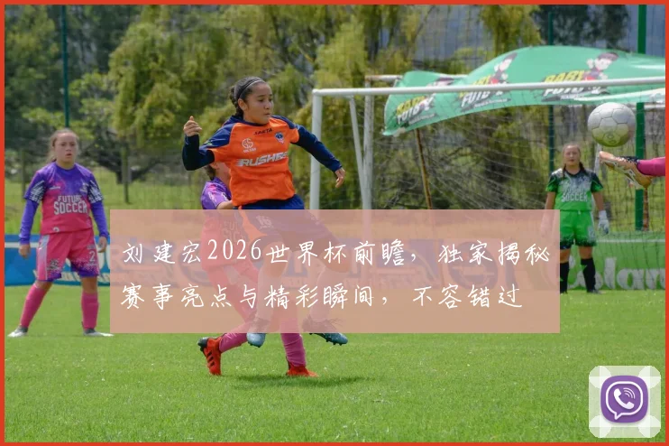 刘建宏2026世界杯前瞻，独家揭秘赛事亮点与精彩瞬间，不容错过